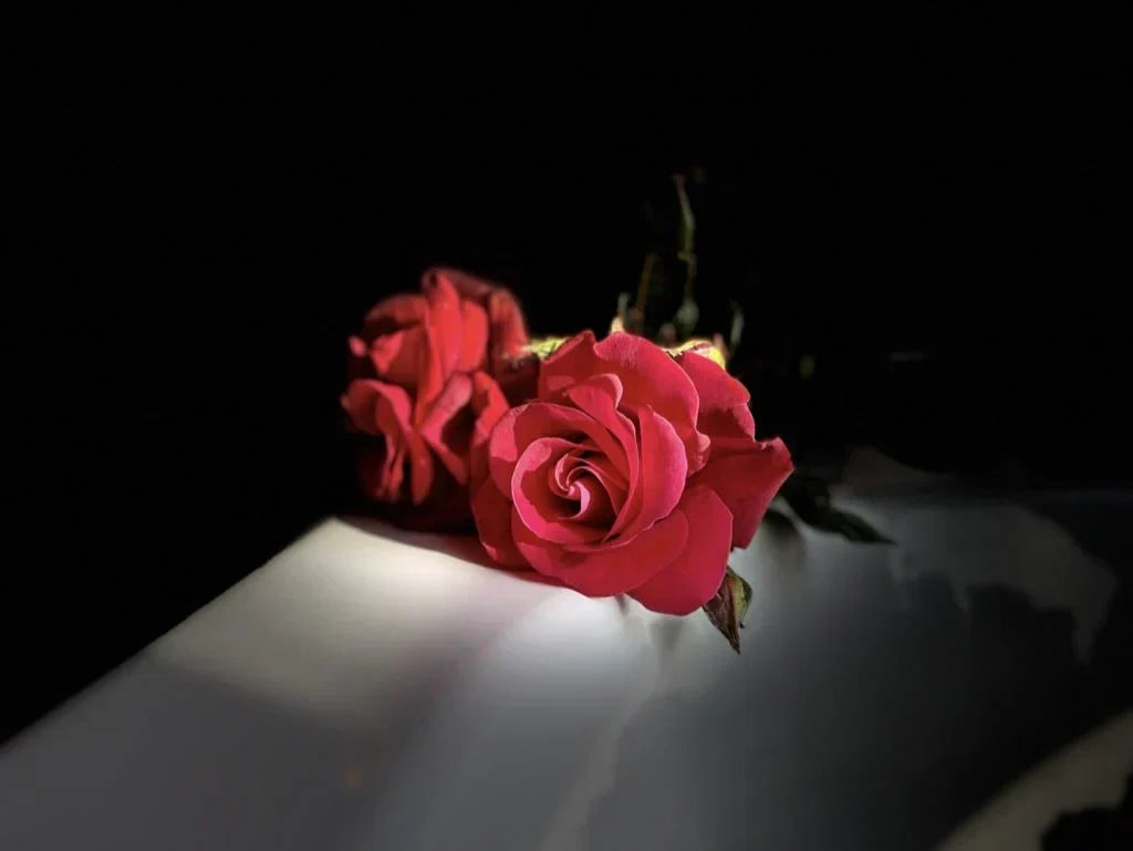 💕 Amour Amour – Loveroom